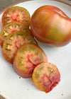 Tomato, 'Captain Lucky'