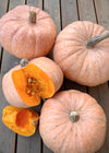 Winter Squash, 'Lower Salmon River'