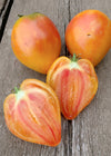 Tomato, 'Midnight Sun'