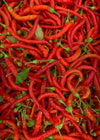 Hot Pepper, 'Aci Sivri'