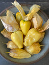 Tomatillo, 'Queen of Malinalco'