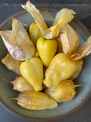 Tomatillo, 'Queen of Malinalco'