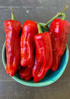 Sweet Pepper, 'Tatlı Üçburun'