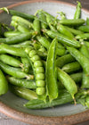 Pea, Petit Pois, 'Waverex'