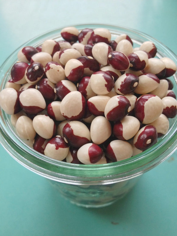 Bean, Pole Dry, 'Annie Jackson'