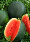 Watermelon, 'Blacktail Mountain'