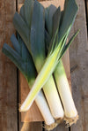 Leek, 'Blaugruner Avano'