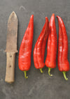 Sweet Pepper, 'Bridge to Paris'