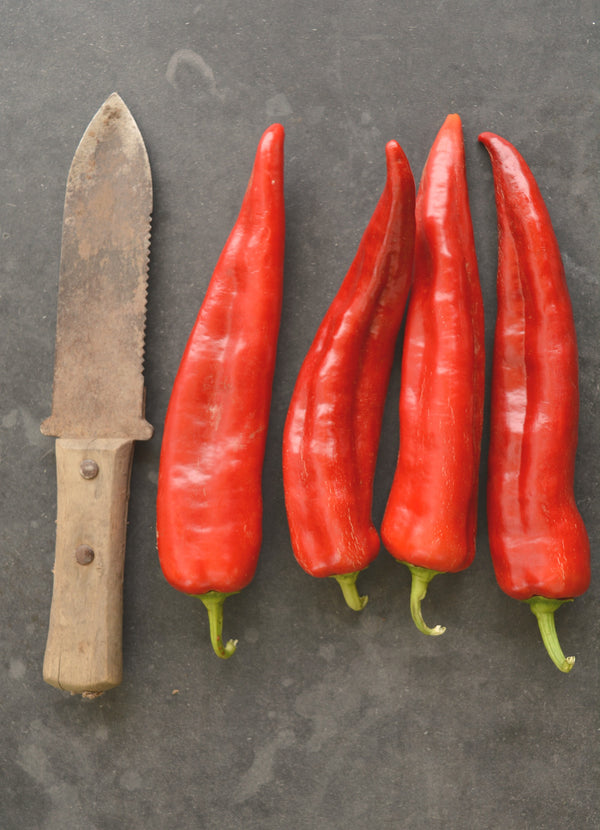Sweet Pepper, 'Bridge to Paris'