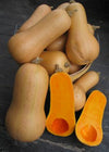 Winter Squash, 'Burpee's Butterbush'