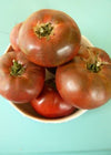 Tomato, 'Carbon'