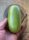 Carosello, 'Leccese Light Green'