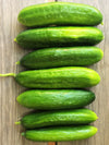 Cucumber, 'Çengelköy'