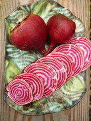 Beet, 'Chioggia'