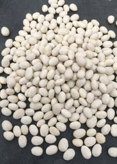 Bean, Bush Dry, 'Cocaigne'