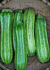 Zucchini, 'Costata Romanesco'