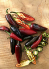 Hot Pepper, 'Czech Black'