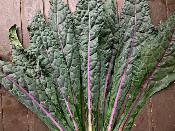 Kale, 'Dazzling Blue'