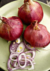 Shallot, 'Ed's Red'