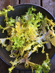 Load image into Gallery viewer, Curly Endive, 'Bellesque'
