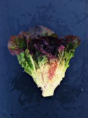 Lettuce, 'Eruption'