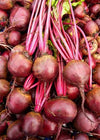 Beet, 'Feuer Kugel'