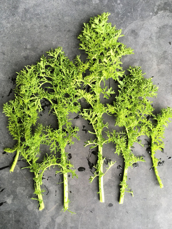 Asian Greens, 'Golden Frills'