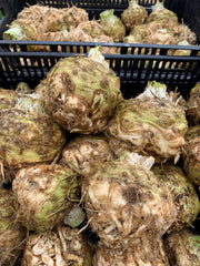 Celeriac, 'Monarch'