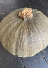 Winter Squash, 'Marine Grey Kabocha'