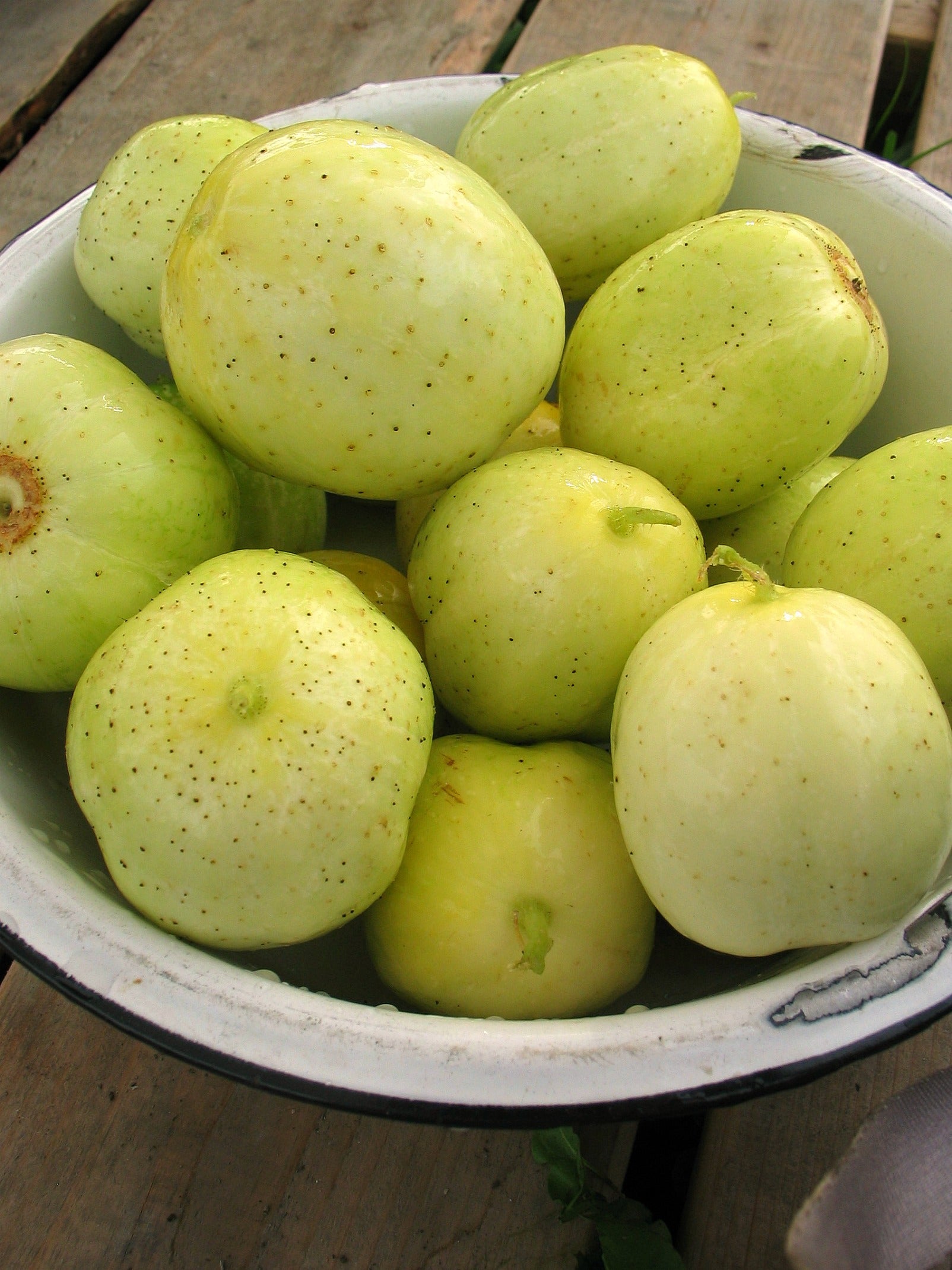 Cucumber, 'Lemon'