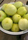 Cucumber, 'Lemon'