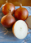 Storage Onion, 'New York Early'