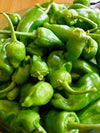 Hot Pepper, 'Pimiento de Padron'