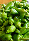 Hot Pepper, 'Pimiento de Padron'