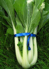 Bok Choi, 'Prize Choi'