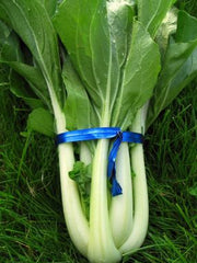Load image into Gallery viewer, Bok Choi, 'Prize Choi'