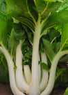 Bok Choi, 'Prize Choi'