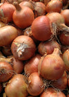 Storage Onion, 'Rijnsburg 5'