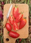 Tomato, 'Sheboygan'