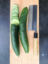 Cucumber, 'Shintokiwa'