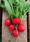 Radish, 'Sora'