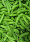 Snap Pea, 'Sugar Ann'