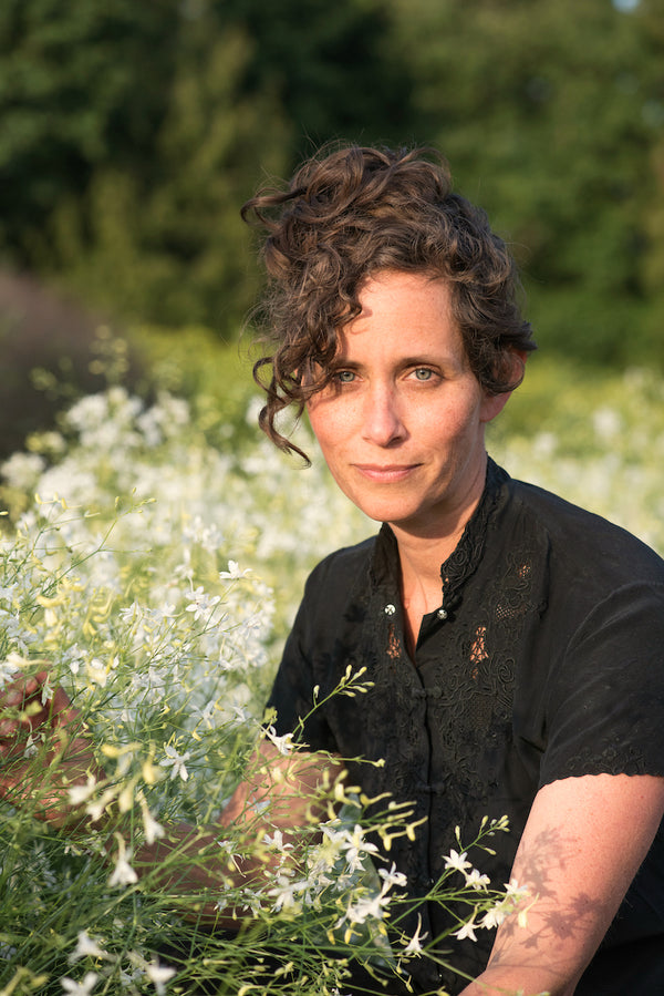 Larkspur, 'White Cloud'