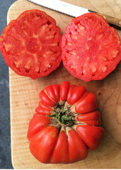 Tomato, 'Vernazza'