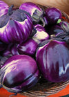 Eggplant, 'Violetta di Firenze'