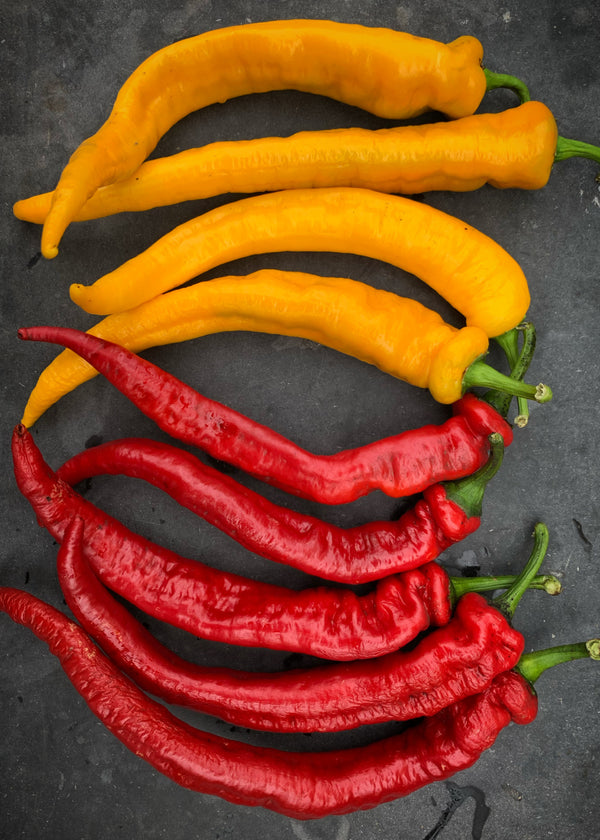 Sweet Pepper, 'Yellow Nardello'