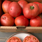 Load image into Gallery viewer, Tomato, &#39;Kurtovo Konare&#39;
