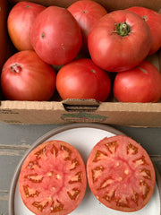 Load image into Gallery viewer, Tomato, &#39;Kurtovo Konare&#39;
