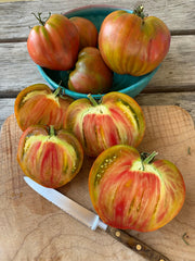 Load image into Gallery viewer, Tomato, &#39;Taiga&#39;
