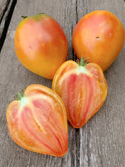 Load image into Gallery viewer, Tomato, &#39;Midnight Sun&#39;
